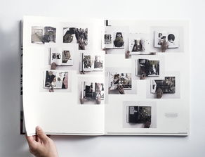 國(guó)外“僅供瀏覽”書籍的裝幀設(shè)計(jì) 從功能到藝術(shù)的探索